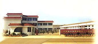 紙質(zhì)磚型液體包裝機,雙色軟糖澆灌機 浙江省臺州市賽特食品設(shè)備廠 公司介紹