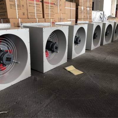 浙江臺(tái)州防爆型DFBZ-2